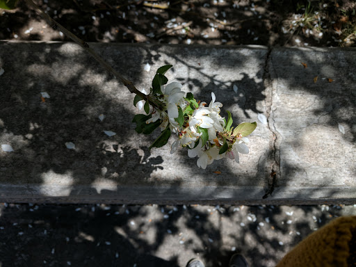 Park «Pulaski Park», reviews and photos, 3300 E Bayaud Ave, Denver, CO 80209, USA