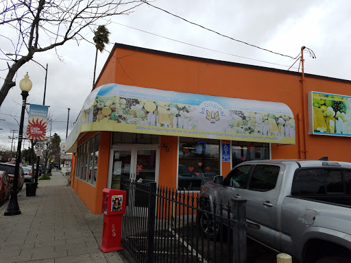 La Original Paleteria y Neveria, 273 Willow St, San Jose, CA 95125, USA, 