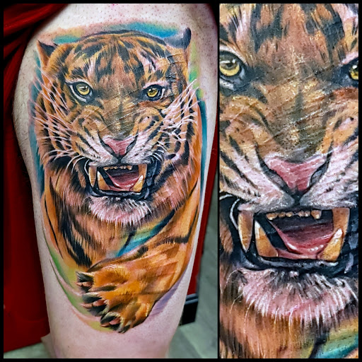 Explore tattoo cartoon ideas, creative tattoo ideas in Brunswick, available at Black Element Tattoo