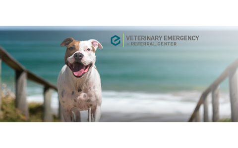 Veterinary Emergency + Referral Center of Hawaii image