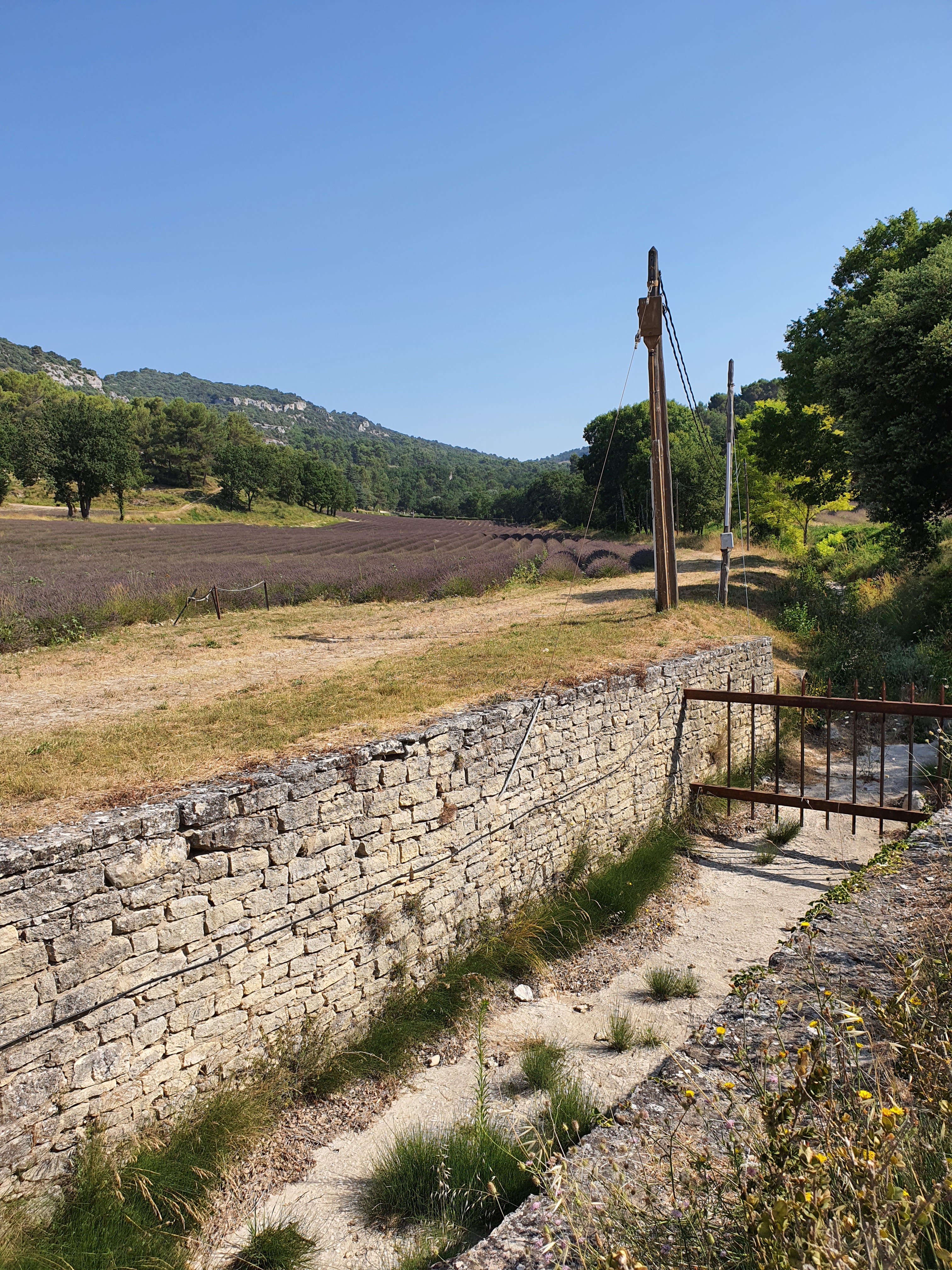 Photo n° 37 de l'avis de Christophe.r fait le 29/07/2020 à 11:11