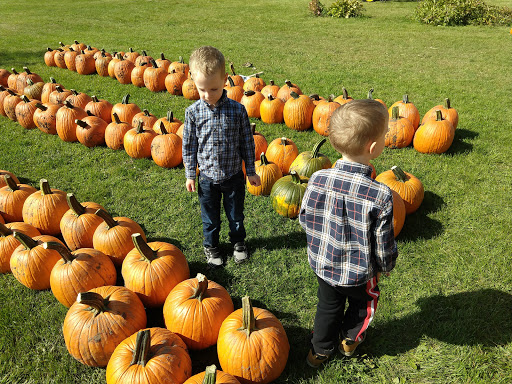 Pumpkin Patch «Barts Farm and Pumpkin Patch», reviews and photos, 7307 Alburnett Rd, Marion, IA 52302, USA