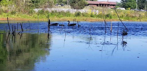 Golf Course «Swan Lake Golf Course», reviews and photos, 581 Dunbar Cave Rd, Clarksville, TN 37043, USA