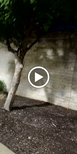 Stage «Levitt Pavilion», reviews and photos, 100 W Abram St, Arlington, TX 76010, USA