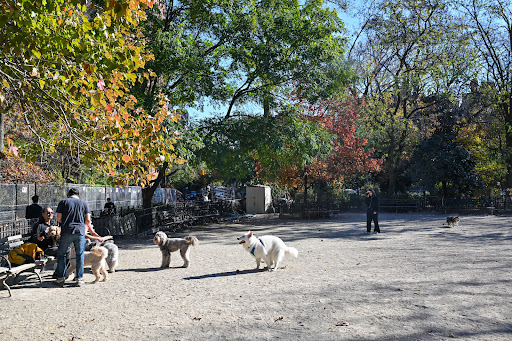 Photo of Tompkins Square Dog Run