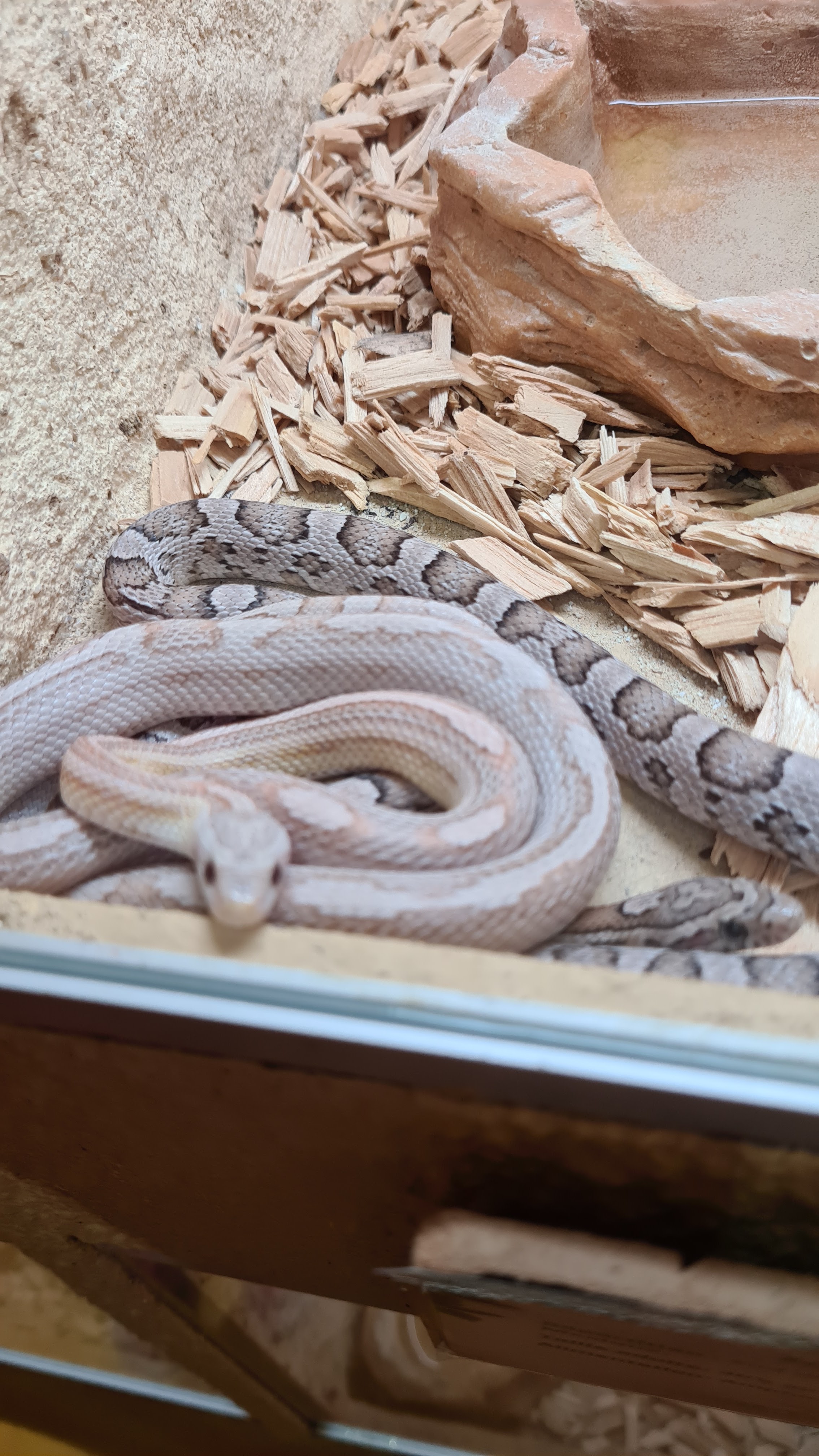 Photo n° 1 de l'avis de fabrice.e fait le 16/07/2020 à 09:47