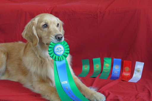 Pet Supply Store «F-M Dog Obedience School», reviews and photos, 1214 Main Ave, Moorhead, MN 56560, USA