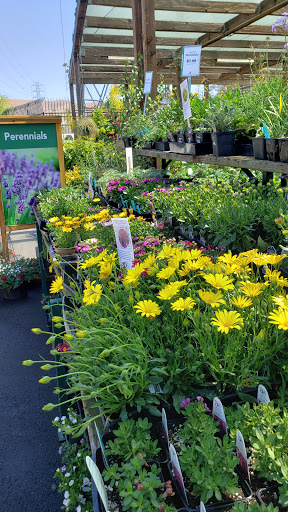 Garden Center «Sloat Garden Center», reviews and photos, 1555 Kirker Pass Rd, Concord, CA 94521, USA