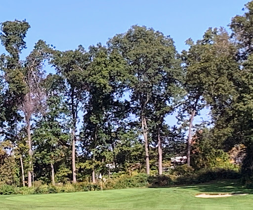 Golf Course «Westborough Country Club», reviews and photos, 121 W Main St, Westborough, MA 01581, USA