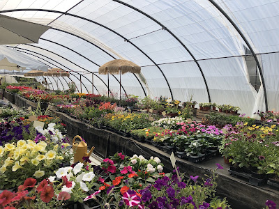 Horticulture-Pépinière Marie-Ange PÉAN à Saint-Corneille