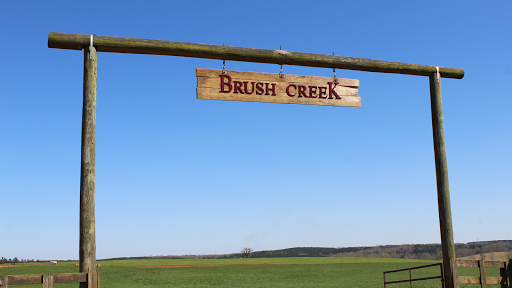 Brush Creek Farm