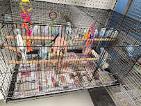 Animal Cove Pets & Pet Grooming - Photo 9 - Car repair in Phenix City, AL, Auburn