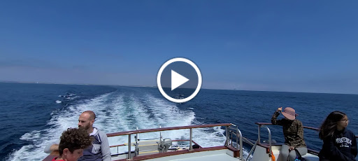 Island Packers Cruises - Oxnard image