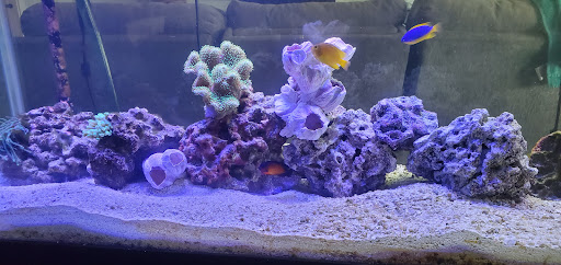 Pet Supply Store «Petco Animal Supplies», reviews and photos, 1670 Airport Blvd #700, Pensacola, FL 32504, USA