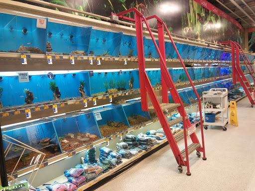 Pet Supply Store «PetSmart», reviews and photos, 3520 S El Camino Real, San Mateo, CA 94403, USA