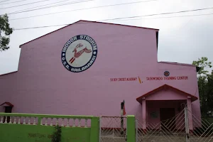 Hailakandi Indoor Stadium image