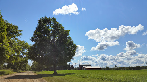 Golf Course «Hartland Glen Golf Course», reviews and photos, 12400 Highland Rd, Hartland, MI 48353, USA