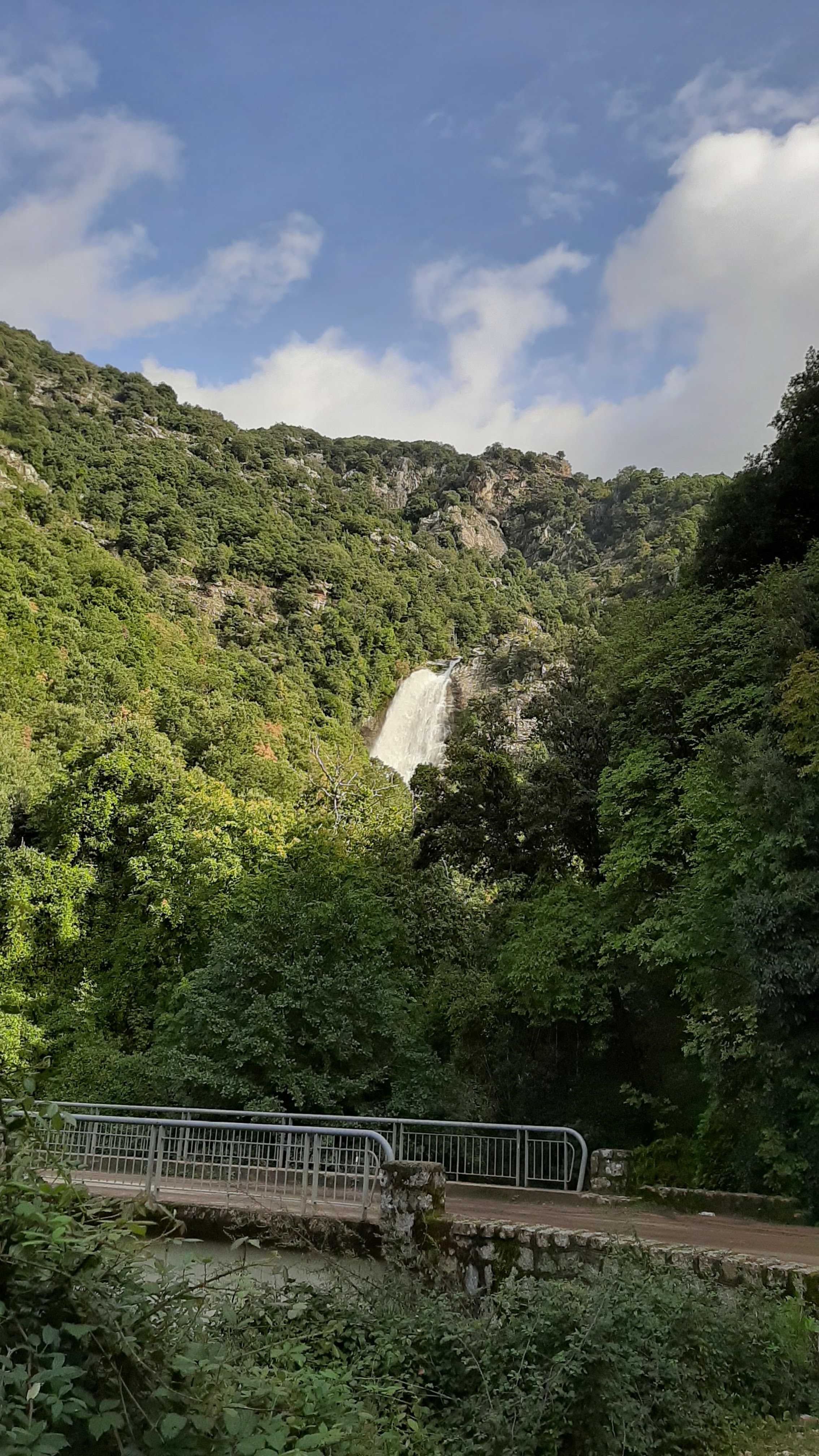 Photo n° 2 de l'avis de Camille.u fait le 07/10/2020 à 15:56