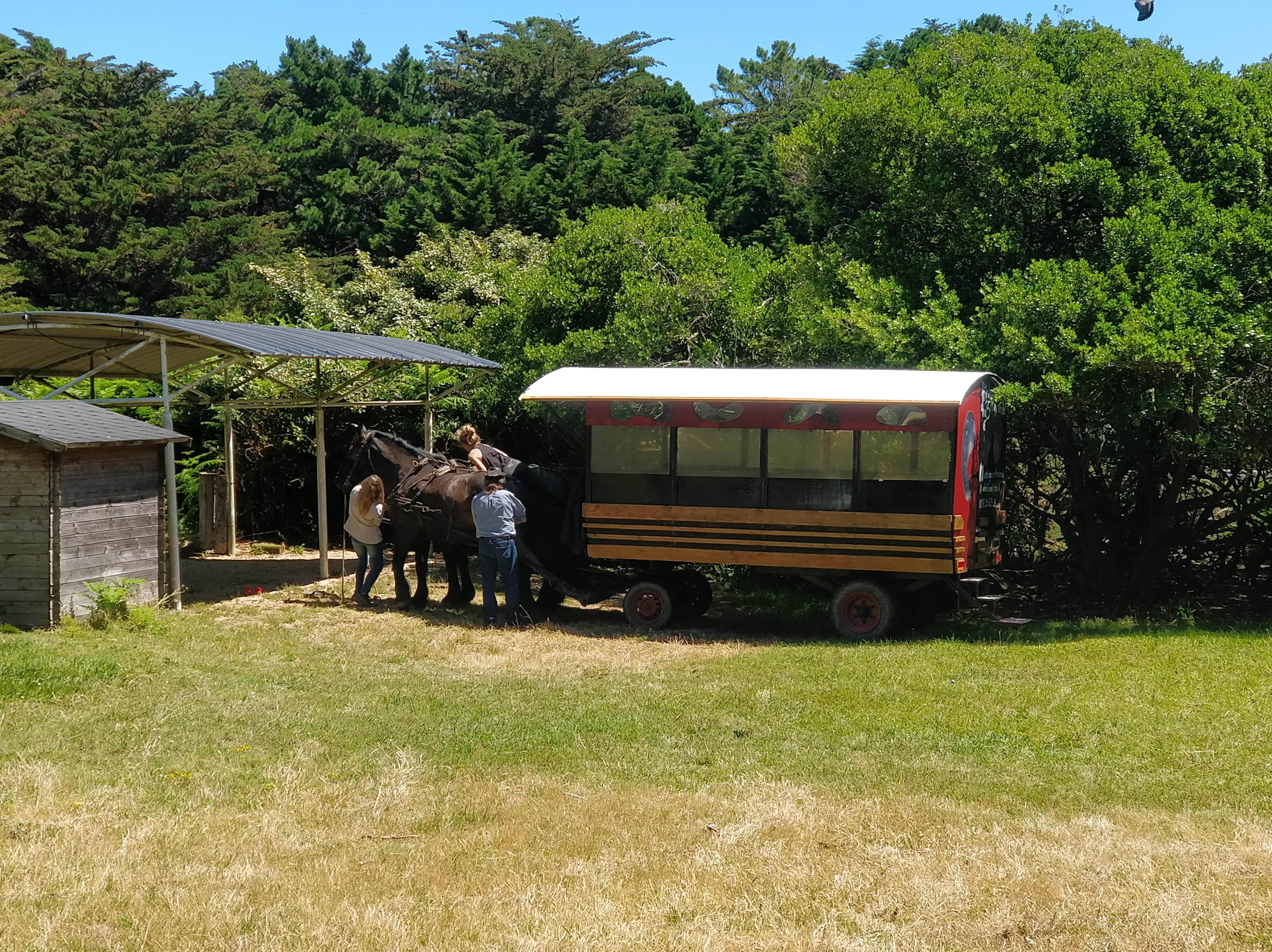 Photo n° 3 de l'avis de Maurice. fait le 22/06/2019 à 20:15