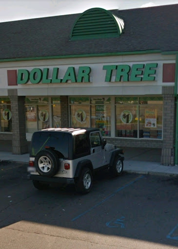 Dollar Store «Dollar Tree», reviews and photos, 266 N Telegraph Rd, Pontiac, MI 48341, USA