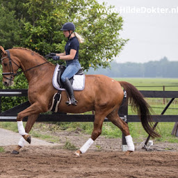 Trainingsstal Milou Faber