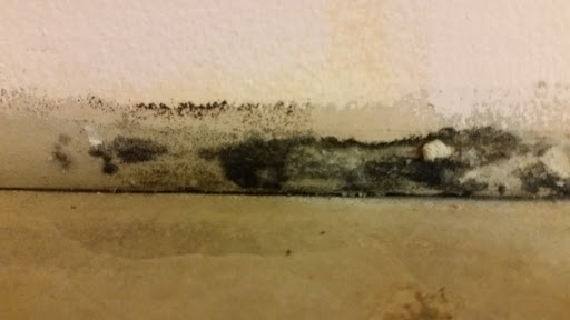 Plumber «Roto-Rooter Plumbing & Drain Service», reviews and photos, 5375 Naiman Pkwy, Solon, OH 44139, USA