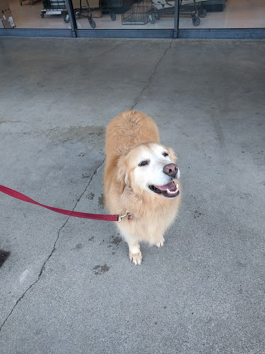 Pet Supply Store «Petco Animal Supplies», reviews and photos, 1919 El Camino Real, Mountain View, CA 94040, USA