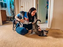 Diggs Dogs - Car repair in Converse, TX, San Antonio - Rated 5.0/5