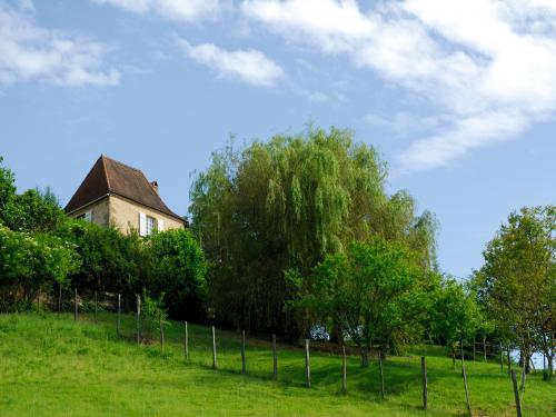 Gîte de la Roche (Montignac Lascaux, Dordogne, Perigord) à Thenon