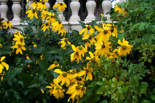 Historical Landmark «Montgomery Place Historic Estate», reviews and photos, 26 Gardener Way, Red Hook, NY 12571, USA