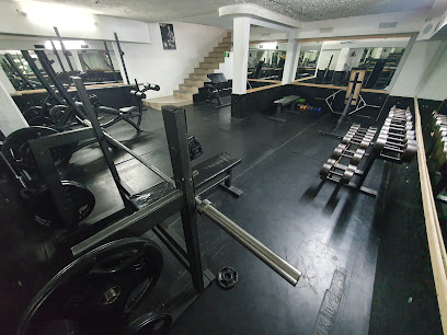 Podbara Gym - Gundulićeva 15, Novi Sad 21101, Serbia