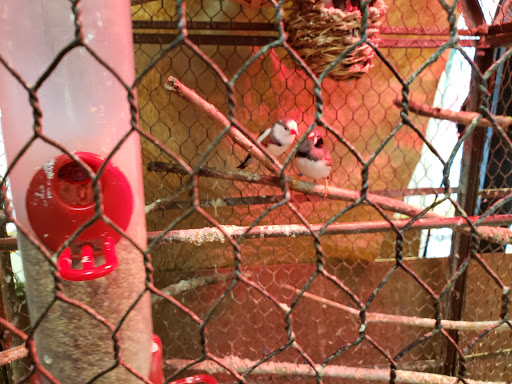 Gift Shop «The Wrinkled Egg», reviews and photos, 2710 NC-225, Flat Rock, NC 28731, USA