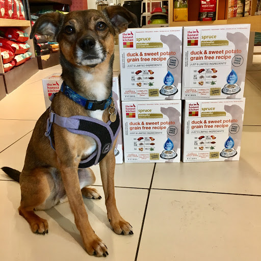 Pet Supply Store «Healthy Spot», reviews and photos, 1110 Wilshire Blvd, Santa Monica, CA 90401, USA