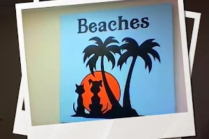 Beaches Pet Resort & Training Center image