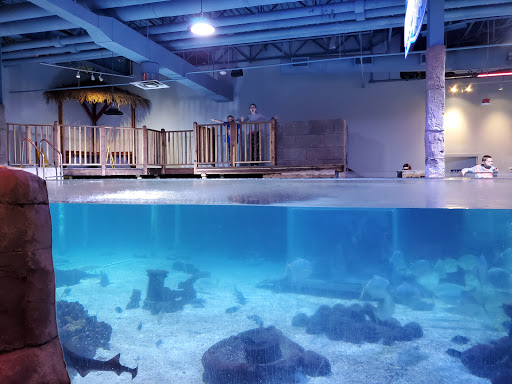 Aquarium «SeaQuest Interactive Aquarium Las Vegas», reviews and photos, 3528 S Maryland Pkwy #340, Las Vegas, NV 89169, USA
