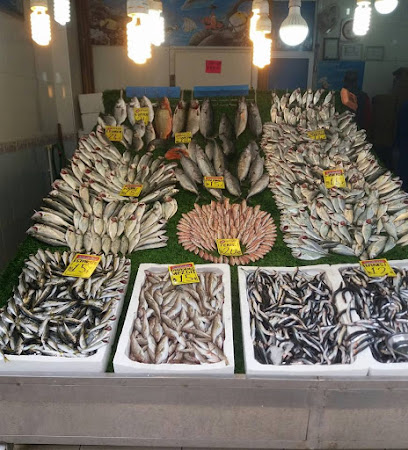 Ünalan Yıldız Balıkcısı