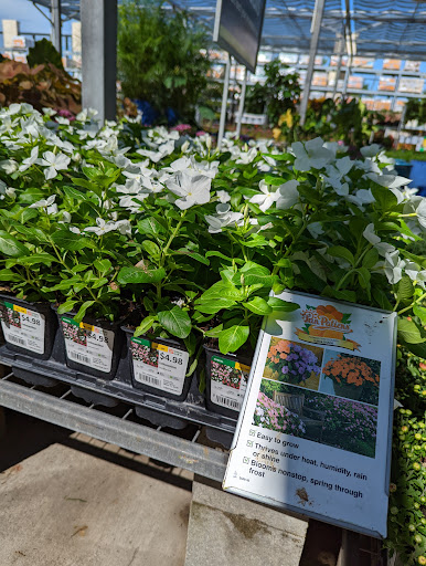 Home Improvement Store «The Home Depot», reviews and photos, 10151 Bloomingdale Ave, Riverview, FL 33569, USA