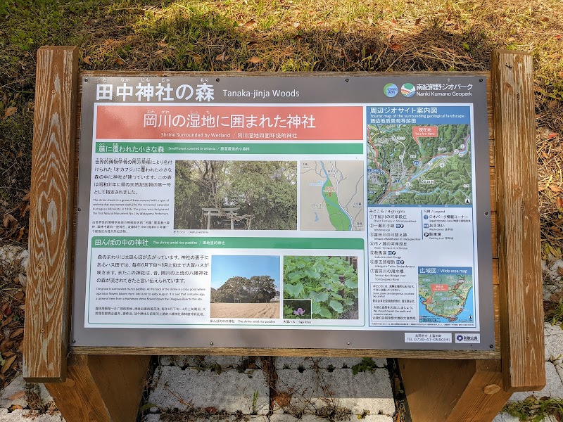 田中神社の森(県指定天然記念物)