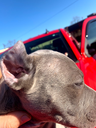 247 Mulberry Ave, Pomeroy, OH 45769, USA