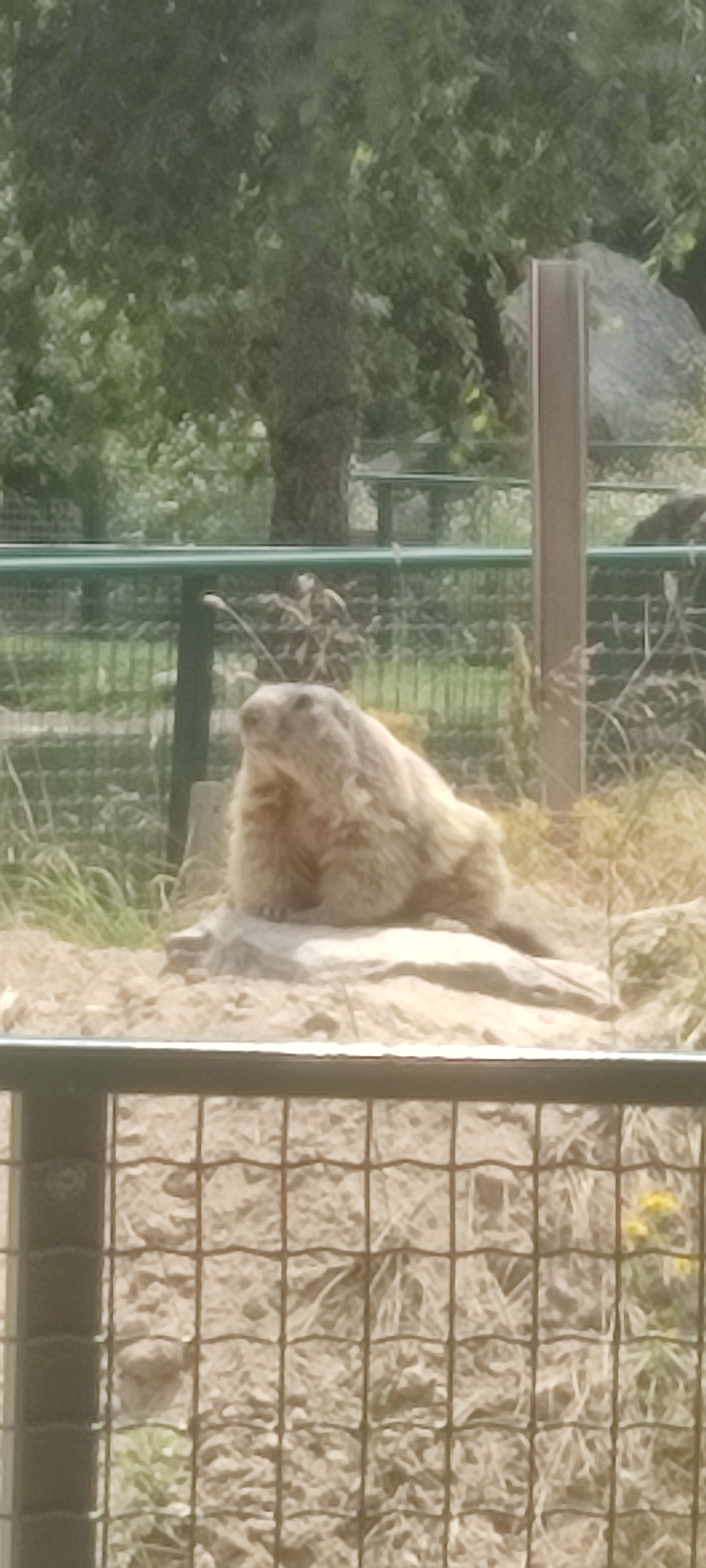 Photo n° 2 de l'avis de Sandra.o fait le 22/07/2023 à 13:04