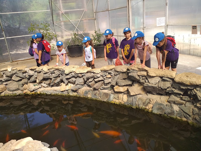 After Cool - Școală