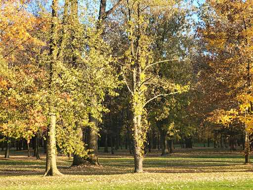 Golf Course «Bello Woods Golf Course», reviews and photos, 23650 23 Mile Rd, Macomb, MI 48042, USA