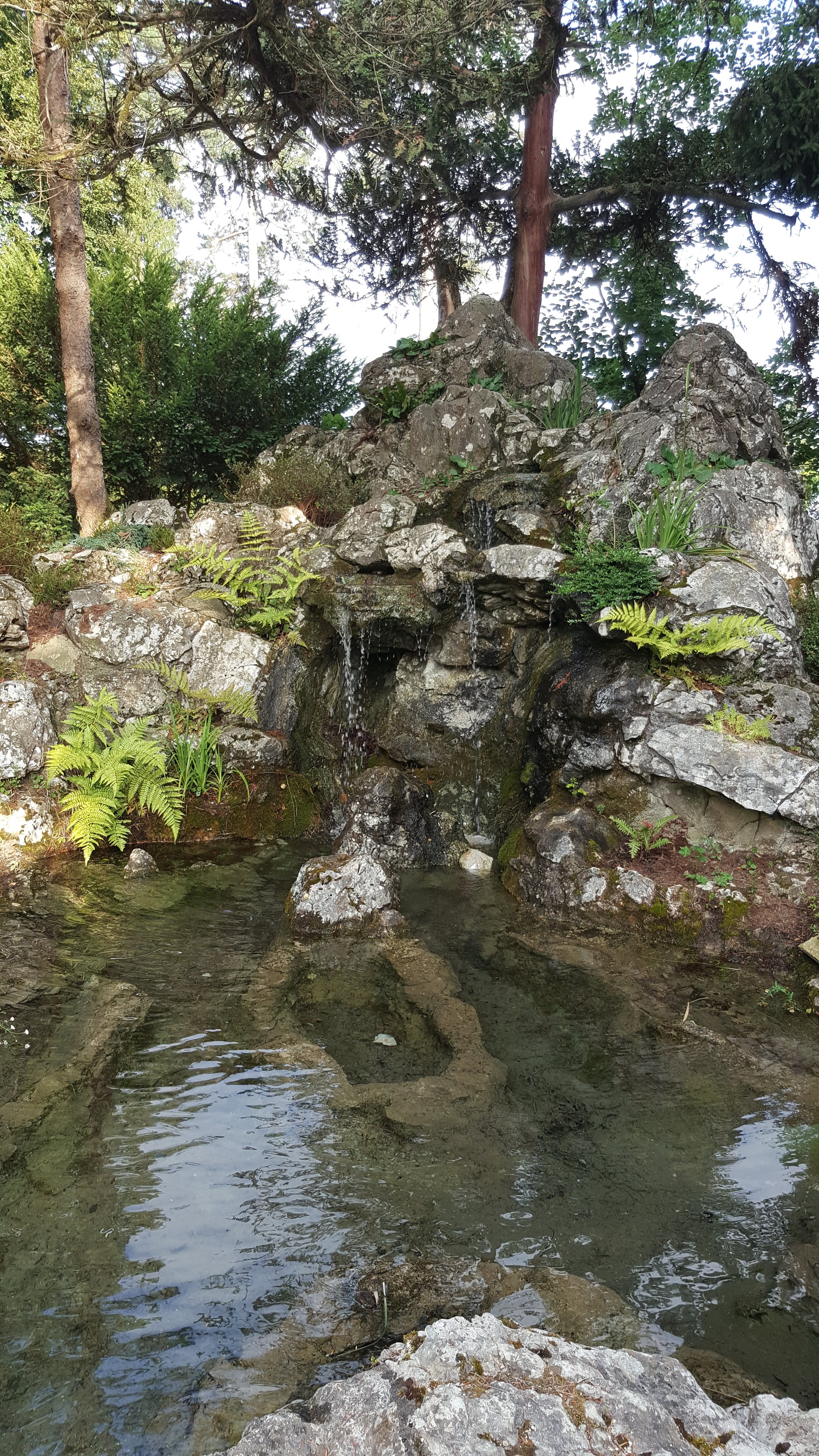 Photo n° 4 de l'avis de Dauris.Regine.d fait le 30/06/2019 à 19:40