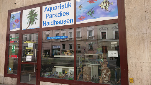 Aquaristik Paradies