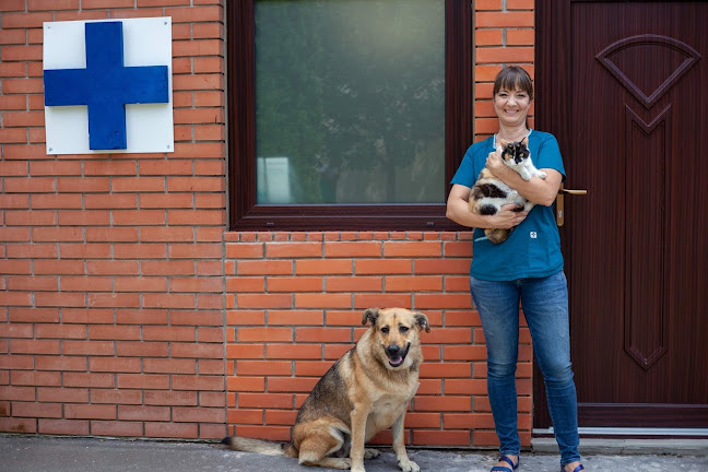 Értékelések erről a helyről: Dr. Kemenczei Katalin - Állatorvos Szeged - szegedi állatorvos, Szeged - Állatorvos