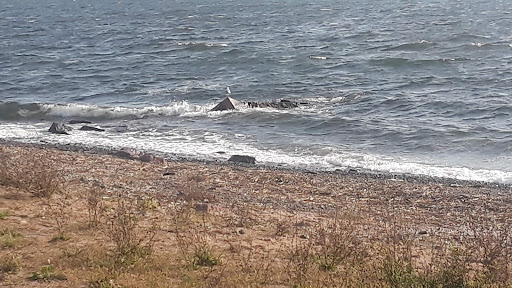 Park «Morse Park», reviews and photos, Morse Ave, West Haven, CT 06516, USA