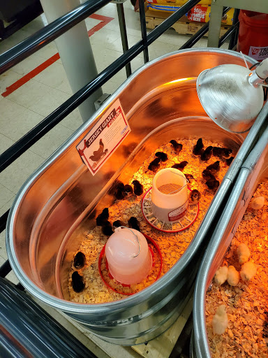 Home Improvement Store «Tractor Supply Co.», reviews and photos, 1550 Whitehall Rd, Muskegon, MI 49445, USA