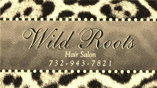 Hair Salon «Wild Roots Hair Salon», reviews and photos, 620 Inman Ave, Colonia, NJ 07067, USA