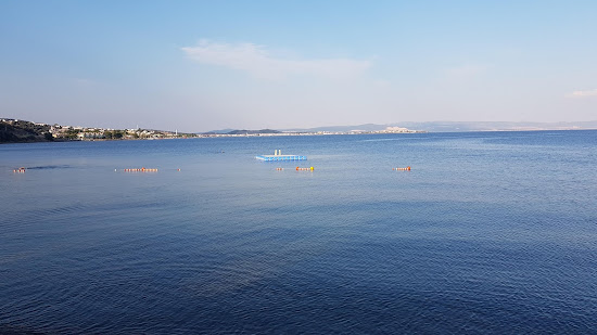 Flamingo beach
