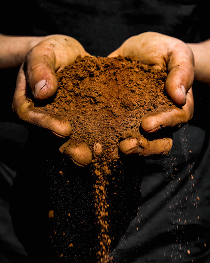 Vineyard «Willamette Valley Vineyards», reviews and photos, 8800 Enchanted Way SE, Turner, OR 97392, USA